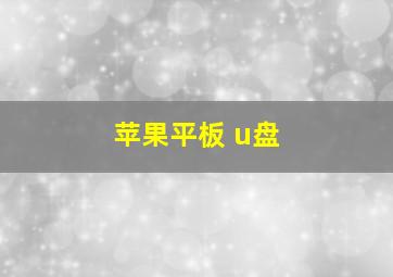 苹果平板 u盘